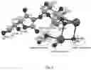 Fig. 04 - A CRYSTALLINE POTASSIUM SALT OF 2-O-ALPHA-D-GLUCOSYL-LASCORBIC ACID AND METHOD FOR PRODUCING THE SAME