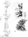 Fig. 35 - COMPOSITIONS AND METHODS FOR MODIFICATION OF TARGET MOLECULES