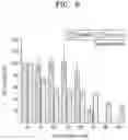 Fig. 07 - MITOCHONDRIA-TARGETING COMPOUND AND COMPOSITION COMPRISING SAME FOR TREATING OR PREVENTING AGING-RELATED DISEASES