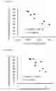 Fig. 02 - METHOD FOR PRODUCING GLYCOMACROPEPTIDE