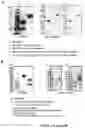 Fig. 02 - Methods of treatment using G-CSF protein complex