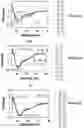 Fig. 04 - MODIFIED GLUCAGON MOLECUES AND FORMULATIONS WITH OXIDATION RESISTANCE AND METHODS AND KITS OF EMPLOYING THE SAME