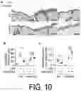 Fig. 10 - COMPOSITION FOR USE IN TREATMENT OF ALLERGIC DISEASES