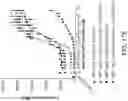 Fig. 26 - LILRB1-based chimeric antigen receptor