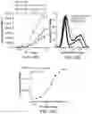 Fig. 28 - LILRB1-based chimeric antigen receptor