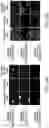 Fig. 38 - LILRB1-based chimeric antigen receptor