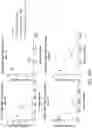 Fig. 46 - LILRB1-based chimeric antigen receptor