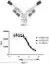Fig. 02 - BISPECIFIC PROTEIN