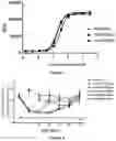 Fig. 03 - BISPECIFIC PROTEIN