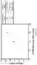 Fig. 03 - High verdet constant nanoparticles and methods for producing and using the same