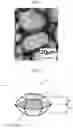 Fig. 02 - Aluminum nitride particles