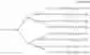 Fig. 12 - BRANCHED AND DEGRADABLE POLYETHYLENE GLYCOL DERIVATIVE
