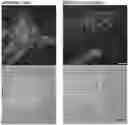 Fig. 01 - SMALL TUNABLE FLUOROPHORES FOR THE DETECTION AND IMAGING OF BIOMOLECULES