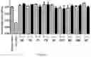 Fig. 04 - SMALL TUNABLE FLUOROPHORES FOR THE DETECTION AND IMAGING OF BIOMOLECULES