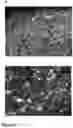 Fig. 05 - CONVERTING PLASTIC WASTE INTO CARBON PIGMENT