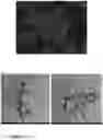 Fig. 06 - CONVERTING PLASTIC WASTE INTO CARBON PIGMENT