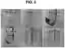 Fig. 06 - Porous polymer actuator and method for fabricating the same