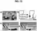 Fig. 14 - Porous polymer actuator and method for fabricating the same
