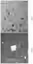 Fig. 03 - Processes for recovering products from a corn fermentation mash
