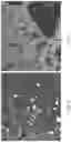 Fig. 05 - Processes for recovering products from a corn fermentation mash