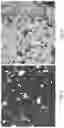 Fig. 06 - Processes for recovering products from a corn fermentation mash