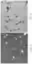 Fig. 08 - Processes for recovering products from a corn fermentation mash