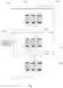 Fig. 04 - Methods for Aging Alcohol Products Using Intelligent Ultrasonic Technology