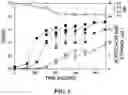Fig. 07 - BIOREACTOR WITH VOLUME-ADJUSTABLE PACKING LAYER