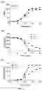 Fig. 04 - C6/C5 co-fermented capable of relieving antagonism between high xylose utilization and high robustness and application thereof