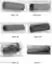 Fig. 02 - PROBIOTIC BIOFILM COMPOSITIONS AND METHODS OF PREPARING SAME
