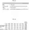 Fig. 14 - Live Attenuated Non-Transmissible Vaccines