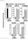 Fig. 10 - BRAIN ORGANOID MANUFACTURING METHOD