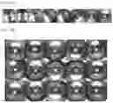 Fig. 13 - BRAIN ORGANOID MANUFACTURING METHOD