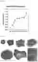 Fig. 14 - BRAIN ORGANOID MANUFACTURING METHOD