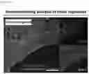 Fig. 16 - BRAIN ORGANOID MANUFACTURING METHOD