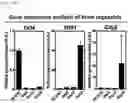 Fig. 17 - BRAIN ORGANOID MANUFACTURING METHOD