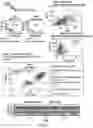 Fig. 07 - RPE cell populations and methods of generating same