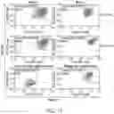 Fig. 18 - RPE cell populations and methods of generating same