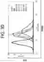 Fig. 33 - RPE cell populations and methods of generating same