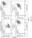Fig. 45 - RPE cell populations and methods of generating same