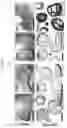Fig. 04 - Culture Method for Head and Neck Organoids