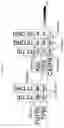 Fig. 16 - Culture Method for Head and Neck Organoids