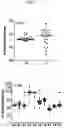 Fig. 18 - Culture Method for Head and Neck Organoids