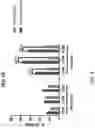 Fig. 10 - SICKLE CELL POTENCY ASSAY