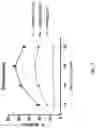 Fig. 11 - SICKLE CELL POTENCY ASSAY