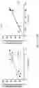 Fig. 18 - SICKLE CELL POTENCY ASSAY