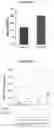 Fig. 07 - METHOD OF IMPROVING THE IN VIVO SURVIVAL OF MESENCHYMAL STEM CELLS
