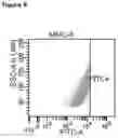 Fig. 04 - IMMUNOMODULATING MESENCHYMAL STEM CELLS