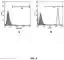 Fig. 04 - METHODS FOR ENGINEERING HUMAN PLURIPOTENT STEM CELLS FOR DIABETES THERAPY BY CO-TRANSDUCTION