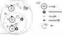 Fig. 01 - ARTIFICIAL VIRUS PRESENTING CELLS